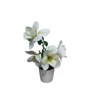 FLOR MAGNOLIA BLC/BASE