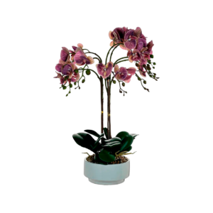 ORQUIDEA C/BASE BLANCA MORADA