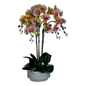 ORQUIDEA CON POTE BLC