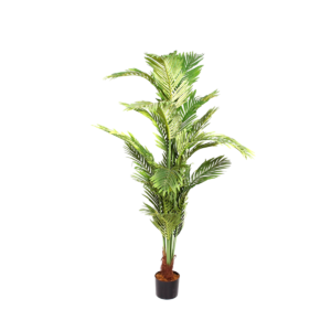 PLANTA PALMERA GDE