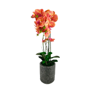 ORQUIDEA DE COLOR GRANDE C/POTE NGRO