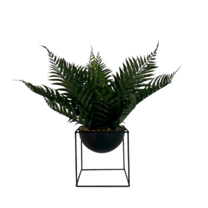 PLANTA ELECHO C/POTE