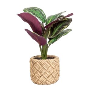 ADORNO PLANTA C/MACETERA HOJA MORADA