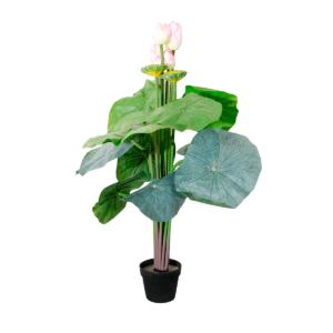PLANTA TULIPAN ROSADO