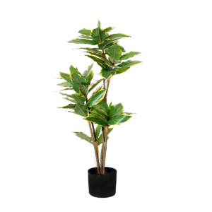 PLANTA ALCALIFA VERDE