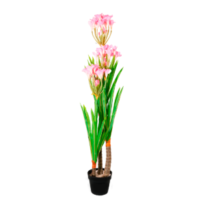 PLANTA CAMPANA ROSADA