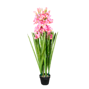 PLANTA ORQUIDEA ROSADA